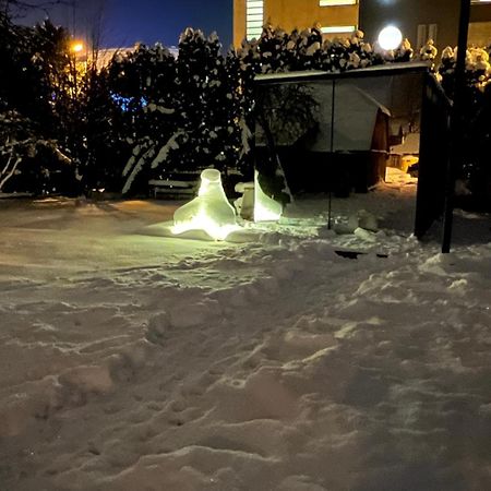 Willa Mirror House Roosi 21 Parnawa Zewnętrze zdjęcie